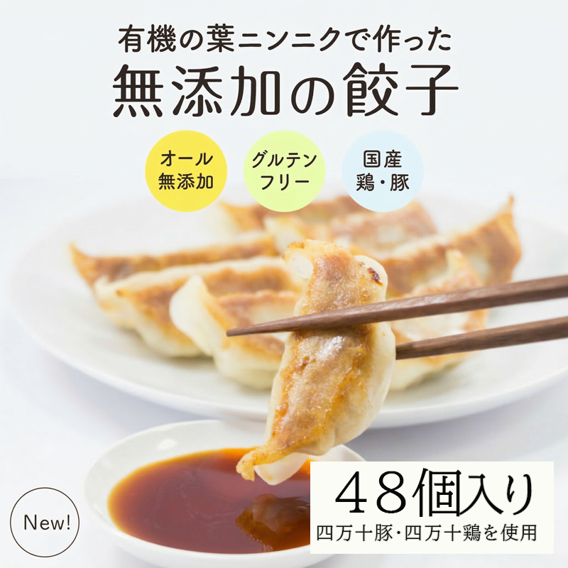 葉 にんにく と 四万十豚 で作った 最高級餃子 （ 6個入り × 8 パック ） 餃子 ギョーザ 焼き餃子 やきぎょうざ ぎょーざ こだわり 大容量 冷凍 冷凍餃子 簡単 調理 簡単調理 惣菜 冷凍